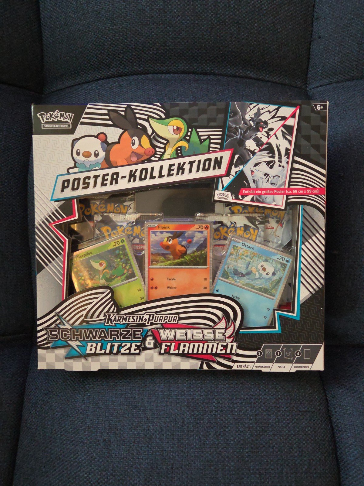 Black Bolt & White Flare: Unova Poster Collection